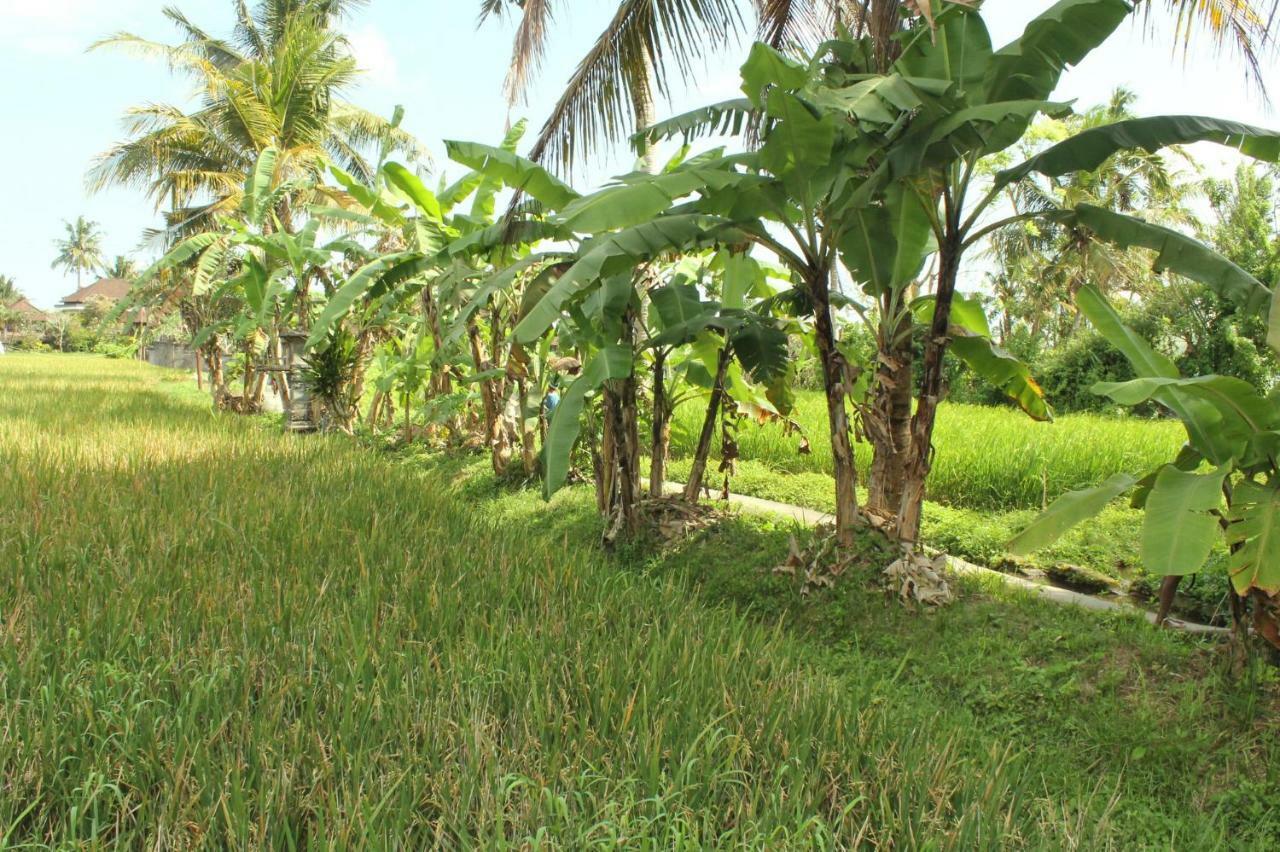 Ubud River Campuhan Villa Eksteriør billede